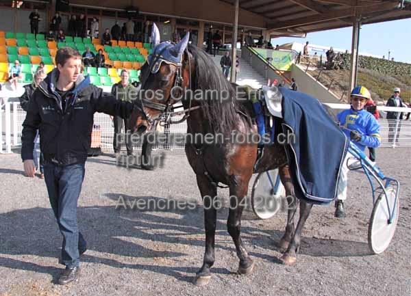 Heros Champ Ehr 2 prot